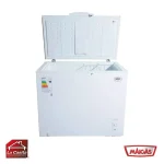 Congeladora 249 Lts. Tapa Dura Maigas - Imagen 2