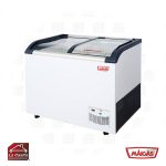 Congeladora 377 lts. Isla Vidrio Curvo Maigas