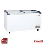 Congeladora 520 Lts Tapa Vidrio Curvo Maigas - Imagen 2