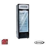 Visicooler 300 Lts. Gelator