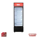 Visicooler 370 Lts Maigas