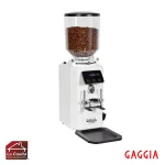 Molino De Café Profesional G4 Gaggia - Imagen 2